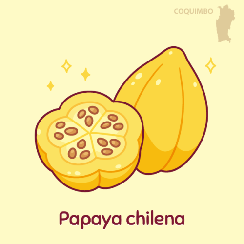 #DessertsOfChile Region: CoquimboChilean papaya grows in and around the towns of Coquimbo and La Ser
