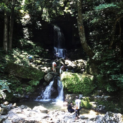 水遊びしていて涼しそうです。#shimonoseki #waterfall #lovejapan