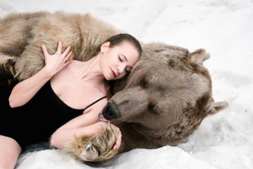 Porn asylum-art-2:  Bearish -Olga Barantseva Russian photos