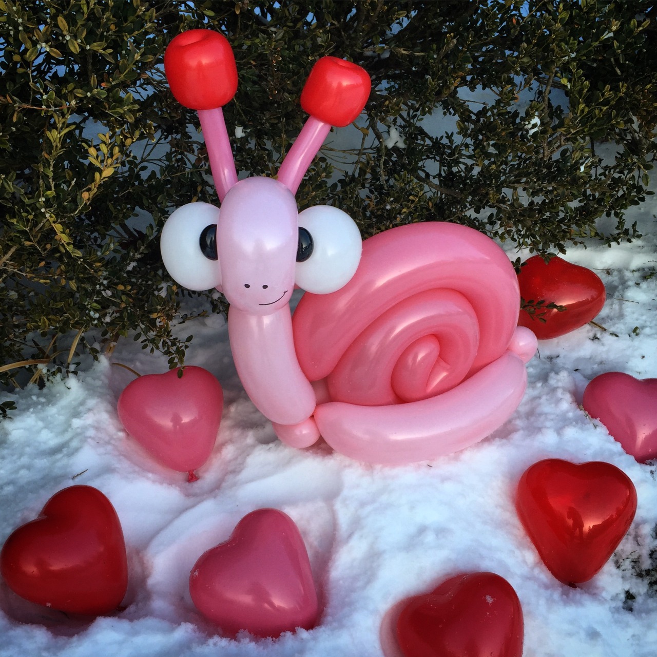 365days-of-balloons:To all you Love Bugs out there, Happy Valentine’s Day!