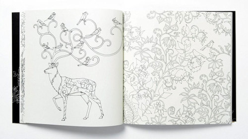 jedavu:  Colouring Books for AdultsInspired by Scotland’s Brodick Castle Gardens, British illustrator and artist Johanna Basford creates incredible coloring books for adults… 