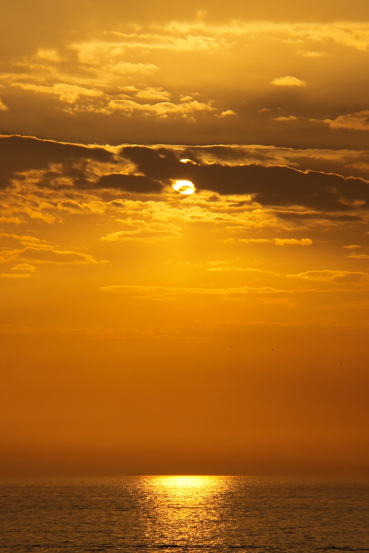 nuretmen:The Golden Sunset.Istanbul, Turkey © Nur Uretmen