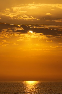 nuretmen:The Golden Sunset.Istanbul, Turkey