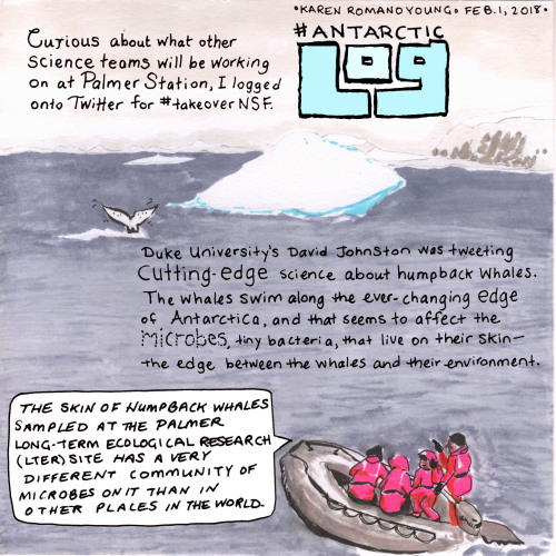 In our latest #AntarcticLog, artist Karen Romano Young reflects on her time spent at  Palmer Station