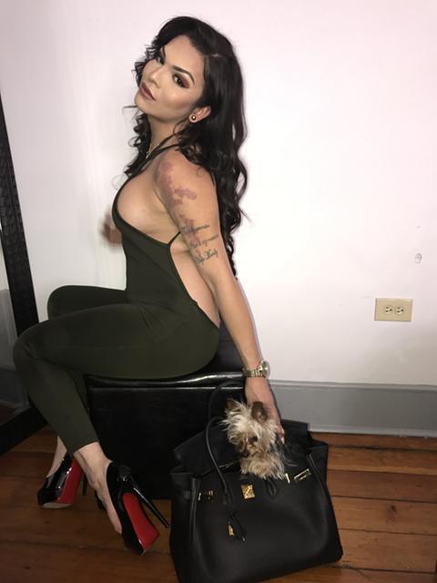 Top 20 Chicago Escorts updated