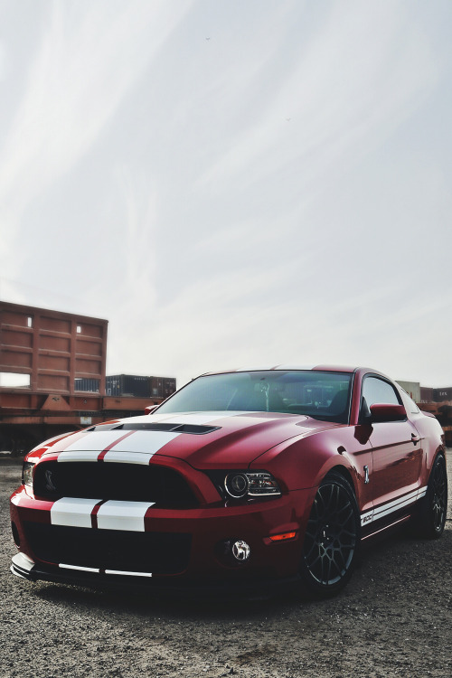 wearevanity:  Shelby GT500 | WAV