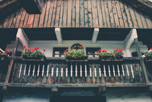 Muzej na prostem Rogatec, Slovenija - Rogatec Open-air Museum, Slovenia by SacredLight ✺