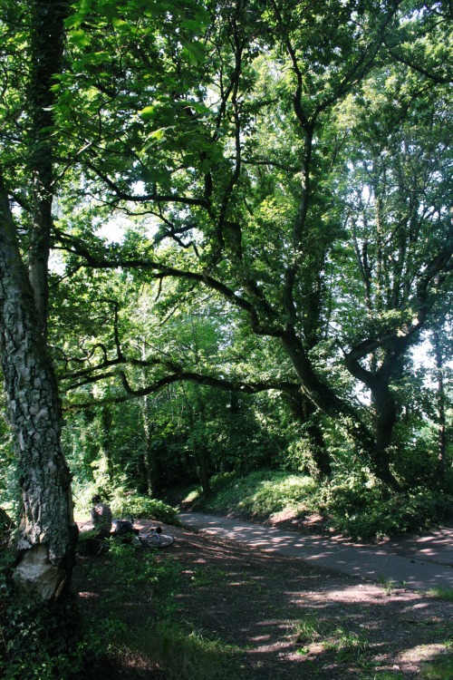 eartheld:  mostly nature