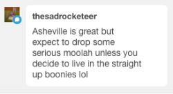 I associate w literally no one who can afford to live in the city of Asheville, but areas 15+ minutes away are significantly cheaper outside of the city. and tbh what’s the point of living in the mountains if you’re not gonna live in the boonies anyway