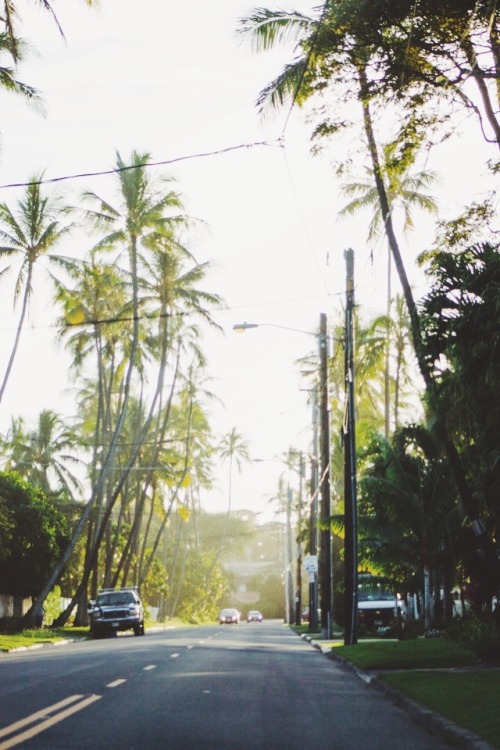 mauiw0w:  skipped school oops 