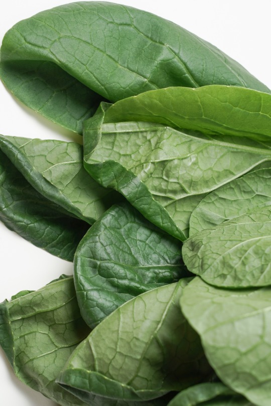 Japanese Mustard Spinach 発音 Japanese Mustard Spinach 発音