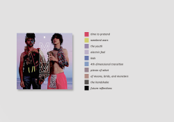 andrewvanwynperfect:  mgmt albums + colour schemes (insp.)