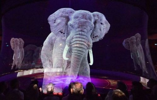 the-insomniac-sloth: mac3438: sixpenceee: A circus in Germany known as Circus Roncalli has swap