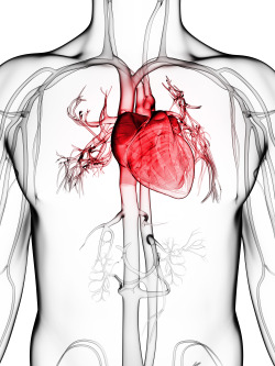 quietkinetic:  Ice Chests or a Still Beating Heart? #medical #TransmedicsView Post