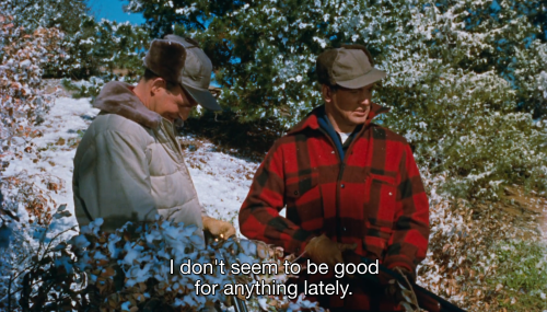 All That Heaven Allows (Douglas Sirk, 1955)