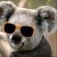 suavekoala