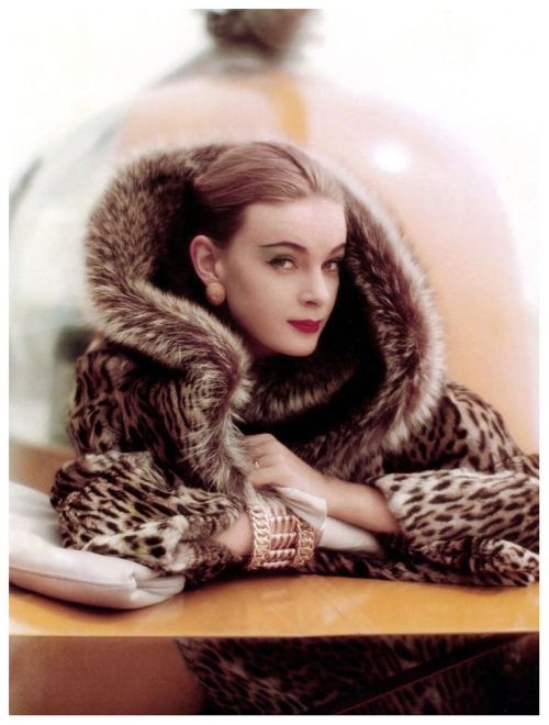 Nena von Schlebrugge, Vogue Sept 1958 by Norman Parkinson