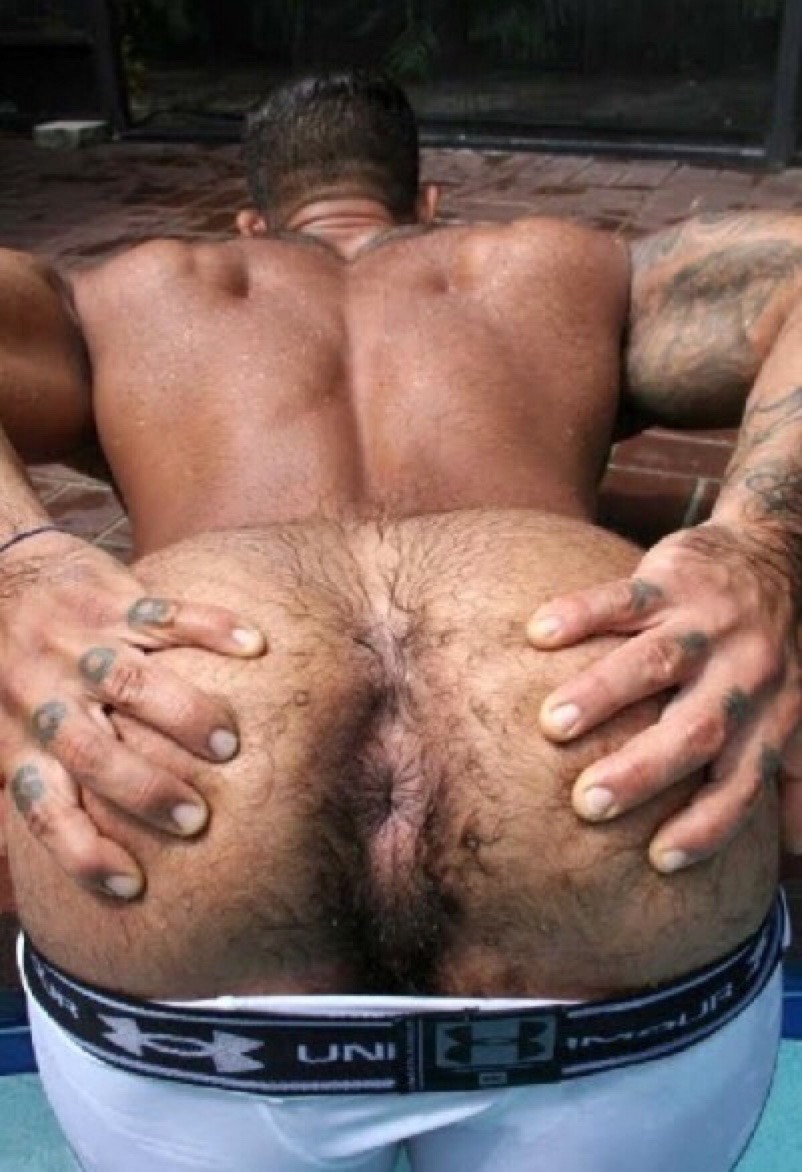 Gay hairy bear men ass hole