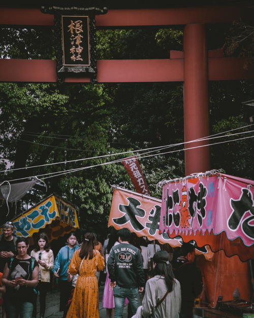 Bunkyo Azalea Festival, held at Nezu ShrineFrom mid-April until the early May, you can enjoy over 3,