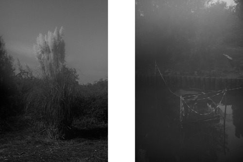 The haunted island, by Laia AbrilAn uninhabitated island in the Venice Lagoon, reputed to be haunted