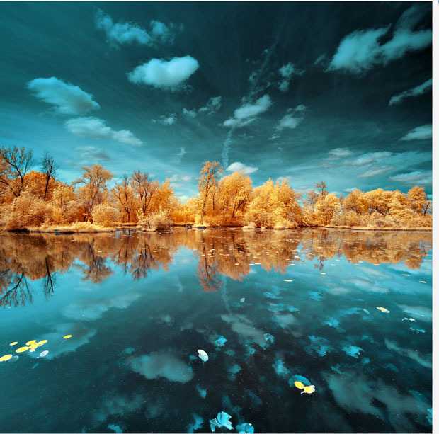 opticallyaroused:   Gorgeous Infrared Landscapes With Trees of Gold and Silver 