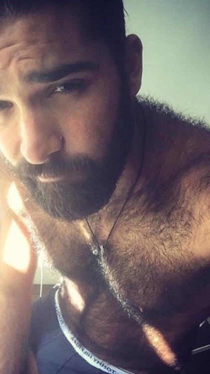 Hairy gay men