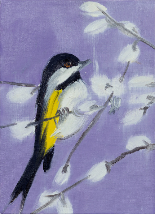 oncanvas