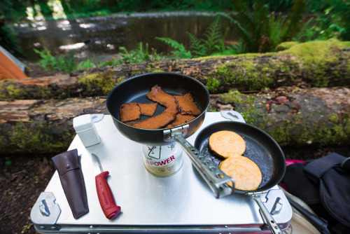 Redwood National Park: CampingCompletely breathtaking. Completely unreal.  I love this campsite we s