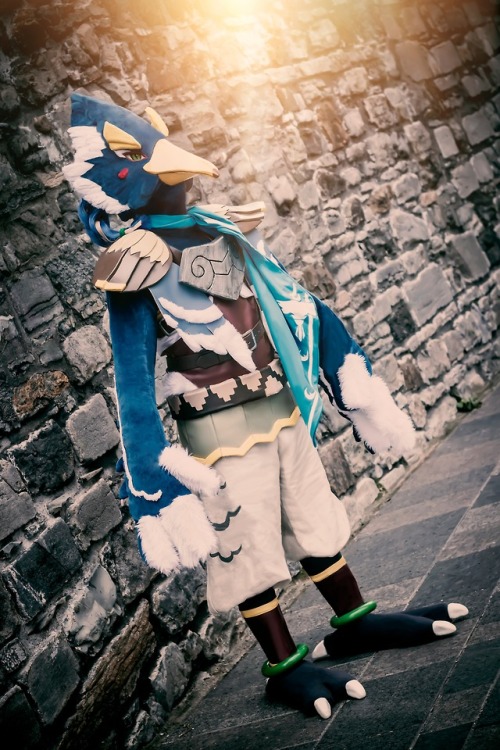 angler-shark: The Rito Champion Shining upon you~ —-First picture of Revali taken by the super tal