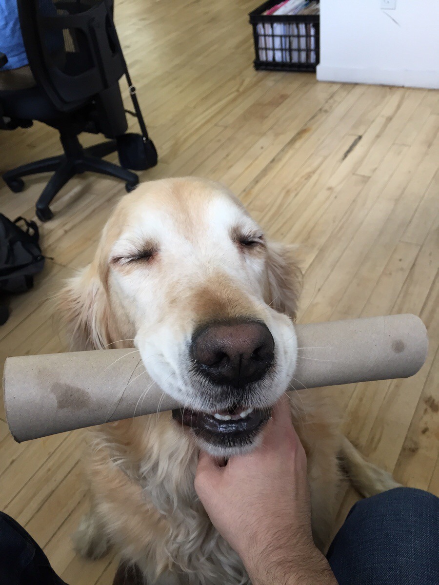 awwww-cute:  Every time we put one in the recycle bin
