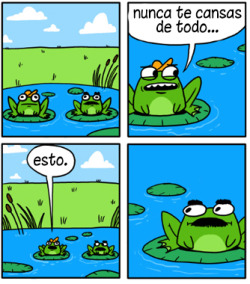 diasconredfox:  Ranas. original