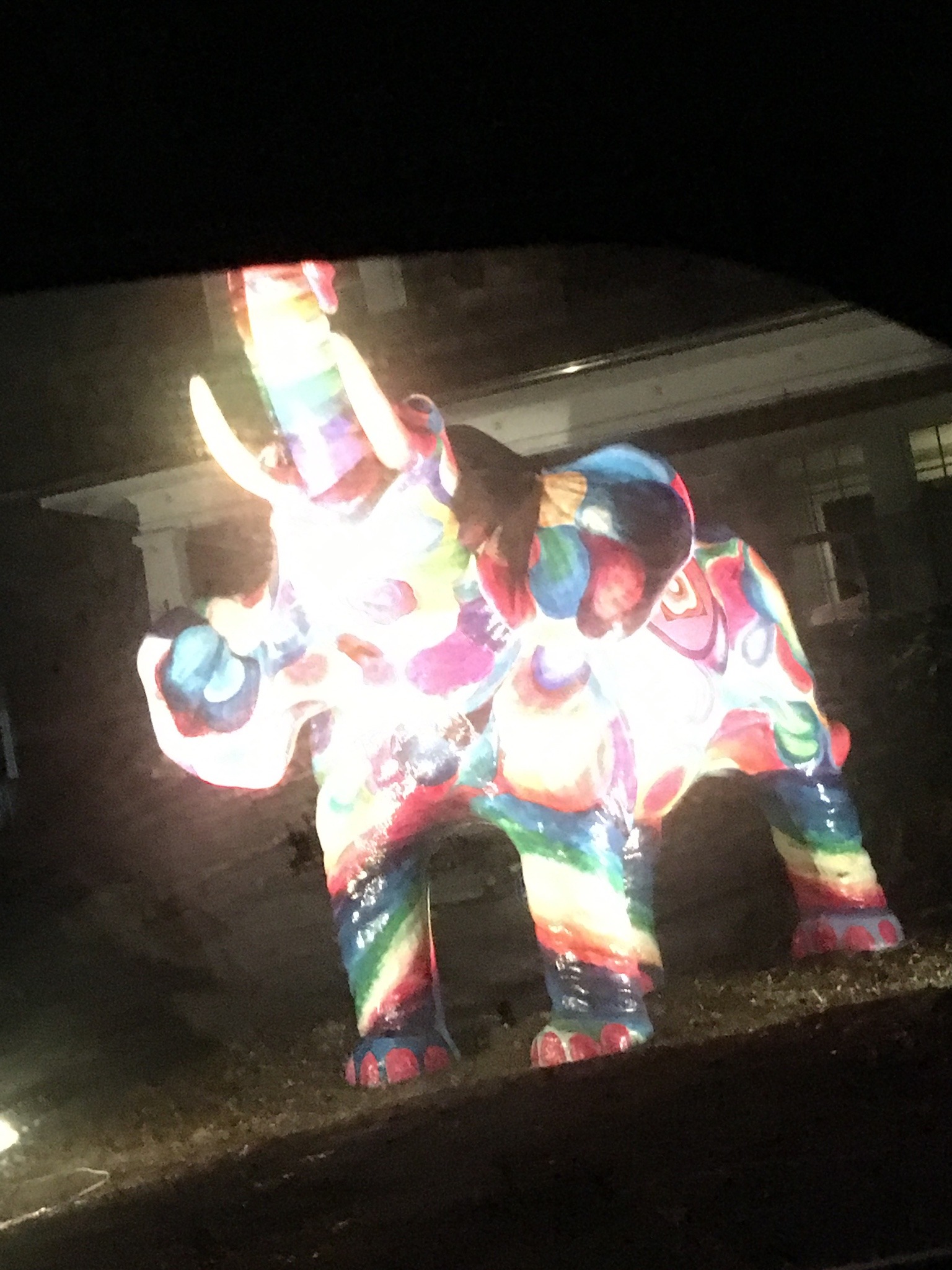 cremsie:This is the 2020 gay elephant of encouragementThey bid you the willpower