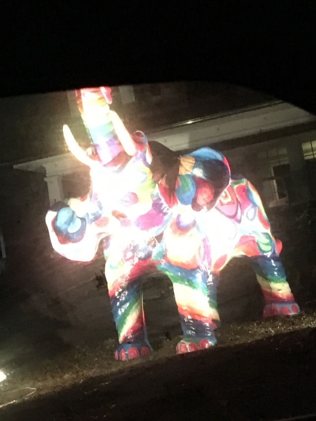 cremsie:This is the 2020 gay elephant of encouragementThey bid you the willpower