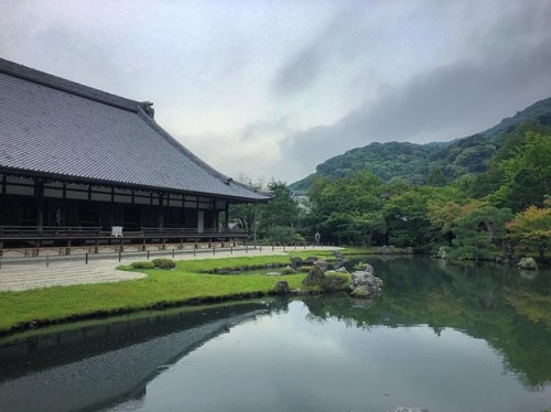 Si venís a #Arashiyama, os recomiendo visitar el templo #zen #Tenryuji, tesoro nacional de #J
