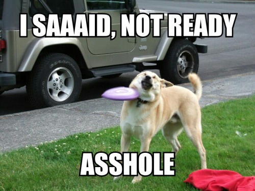 emma-ink:  cyanydekiss:  Hahahaha  Will always laugh.