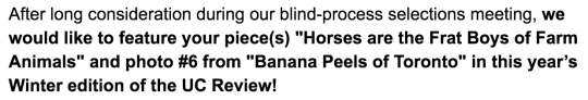 so remember how i wrote a bunch of horse haikus and submitted them to my college’s publication