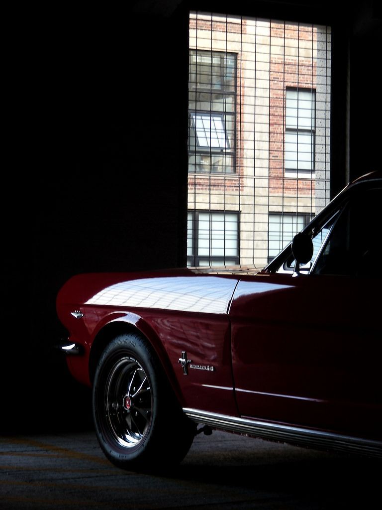 Ford Mustangs