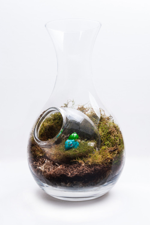 The last terrarium of 2013, but definitely not the last one ever. This one proved a bit of a challen