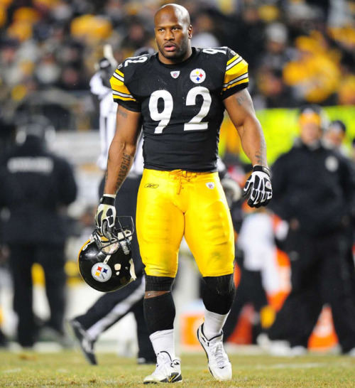 phatbrothasblog:  James Harrison, NFL Pittsburgh Steelers 