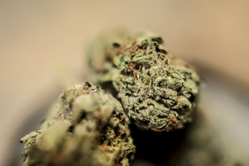 rogueganja: