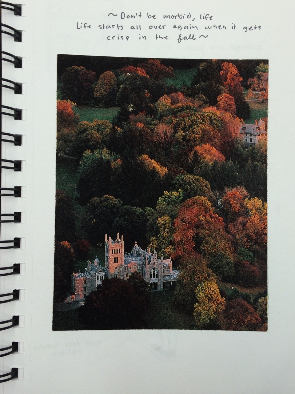 weird-milk:  embracing autumn despite everything 