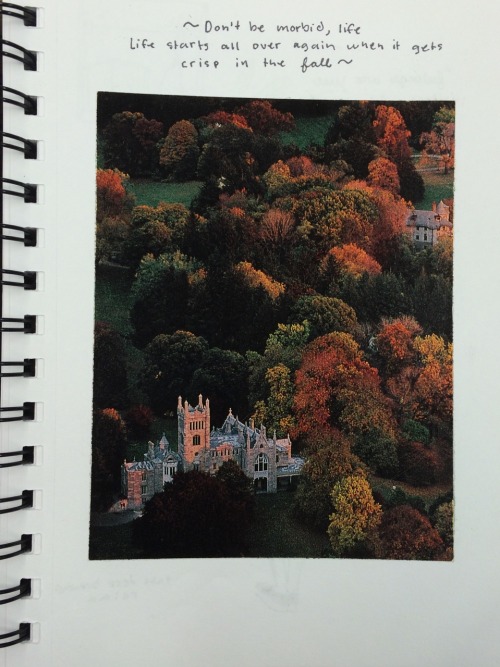weird-milk:  embracing autumn despite everything 