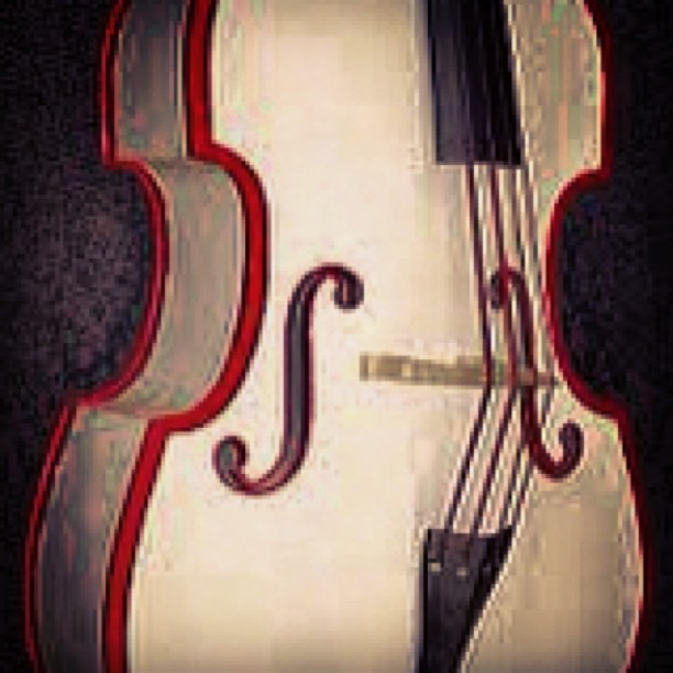 ericsczuka:  #rockabilly #bass (at Tapawingo Rd &amp; Cottage St) 