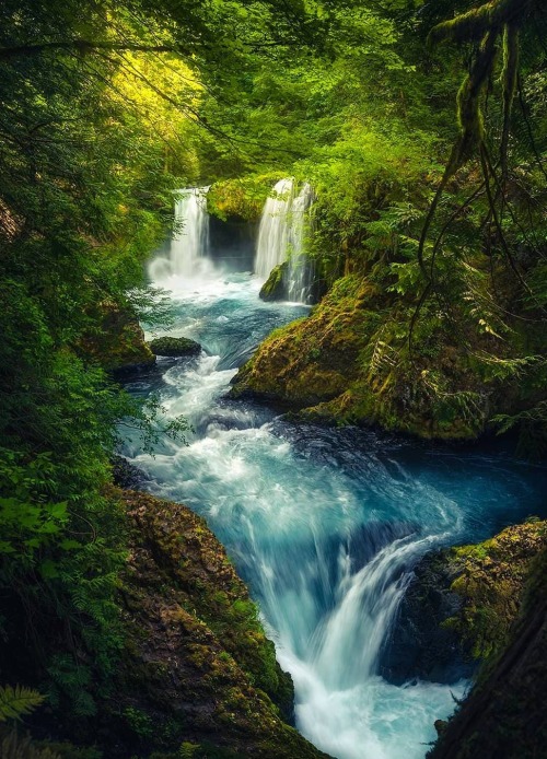 maureen2musings: Beautiful Oregon waterfall davidgayphotography