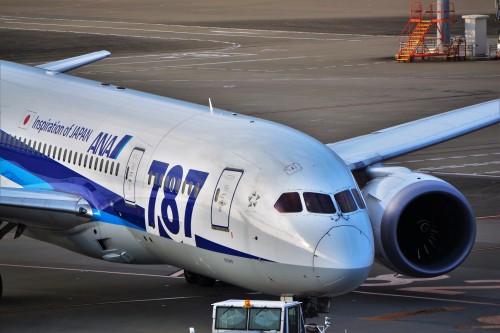 kekemachida:  Tokyo International Airport [Haneda] (HND/RJTT) / All Nippon Airways B787-8 Dreamliner