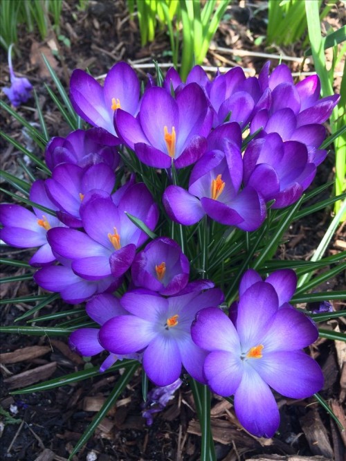 03011944he-blog - Helena