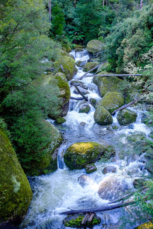 West Tyers River by Richard