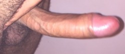 dickratingservice:  Imagine this 8 inch cock