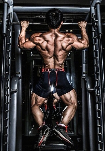 muscle lover