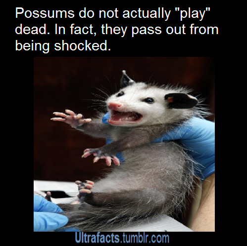 chocodino92:  ultrafacts:  Ultrafacts Source  The more I’m on here the more I discover